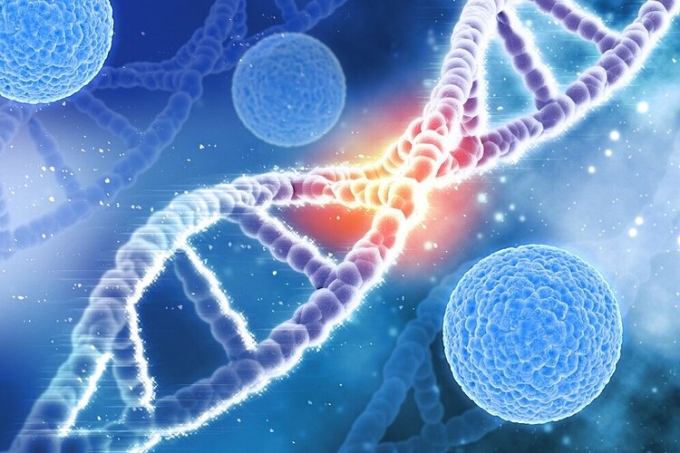 Bệnh lý đơn gene là những rối loạn di truyền bắt nguồn từ đột biến ở một gene gây ra.